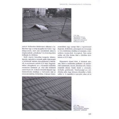 Szemrevételezéses épületdiagnosztika 